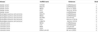 Inferring Latent Disease-lncRNA Associations by Label-Propagation Algorithm and Random Projection on a Heterogeneous Network